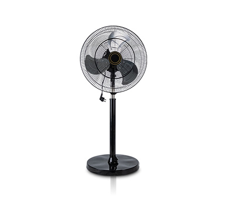 Stand Fan